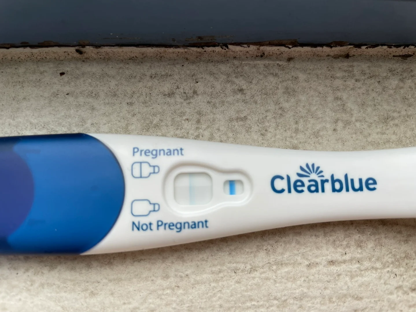 <b>降调期间被告知怀孕 还有比我更无奈的吗,代孕可信吗</b>