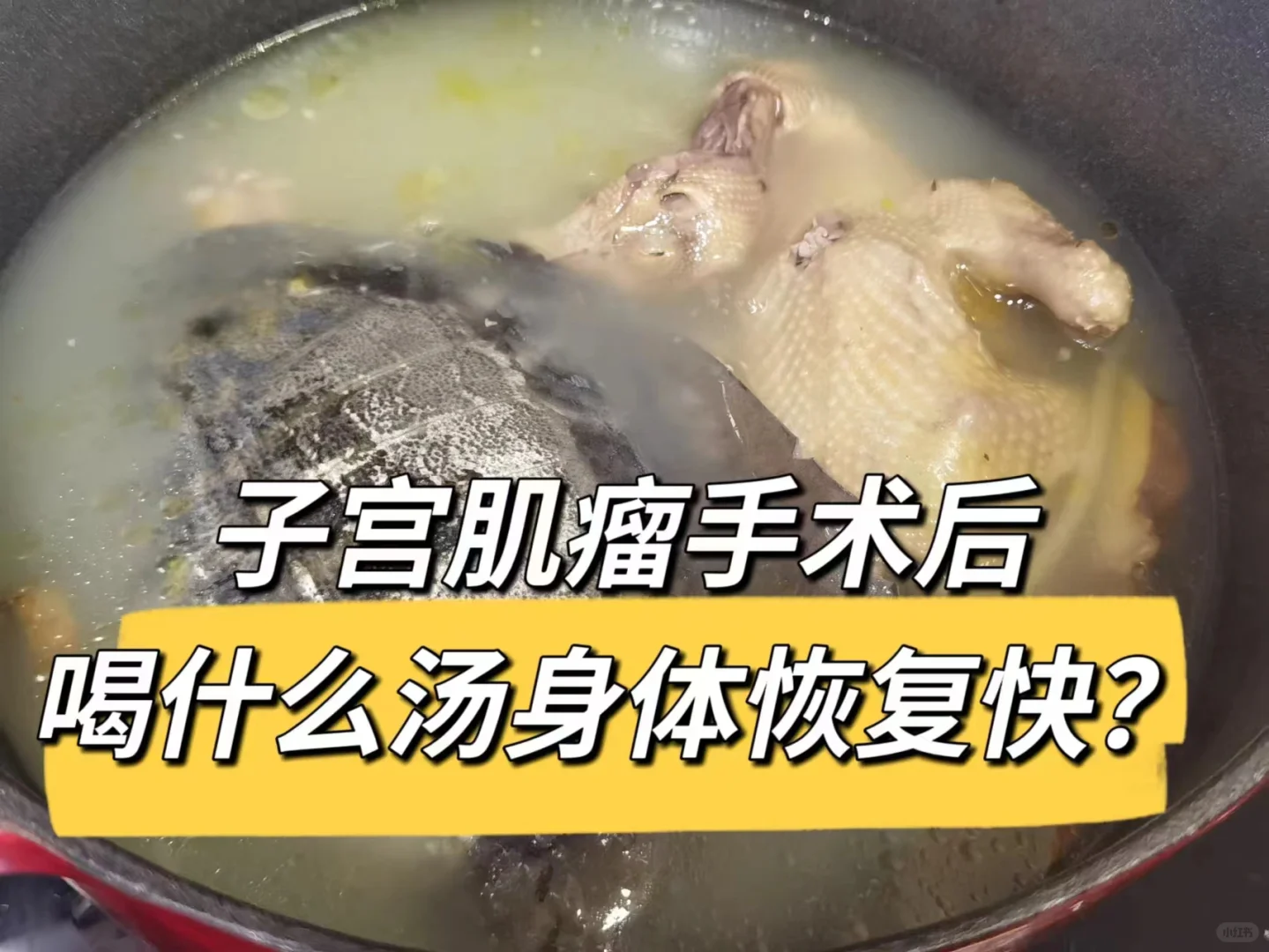 <b>子宫肌瘤手术后喝什么汤身体恢复快？,国内代怀医院费用多少&国内试管包男孩包成功</b>